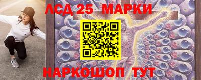 гидропоника Дубна