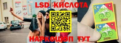 гидропоника Дубна