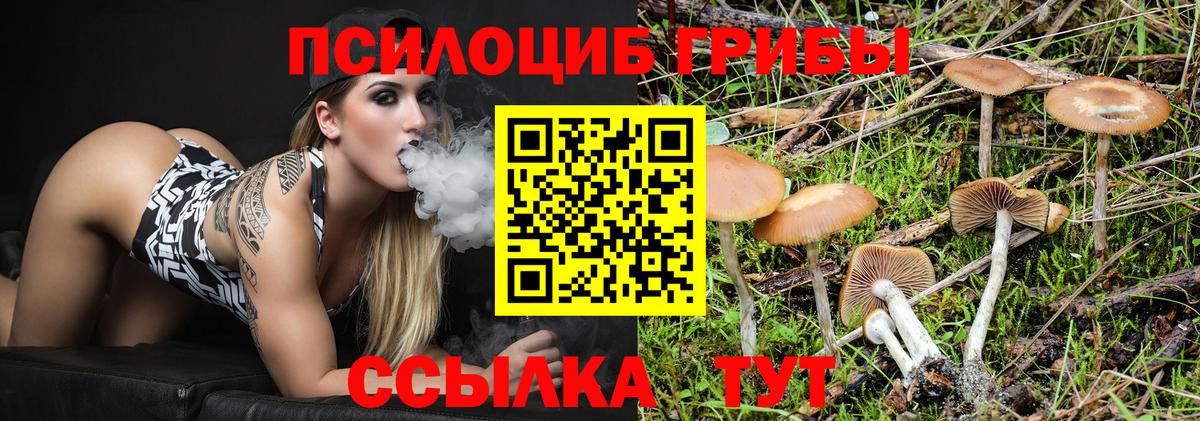 Галлюциногенные грибы мухоморы  Галлюциногенные грибы GOLDEN TEACHER  Ливны  сколько стоит  Вход с VPN 